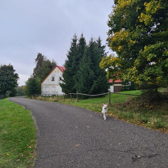 Komáří vížka - okruh pro odvážné, tam a zpátky pro srabíky