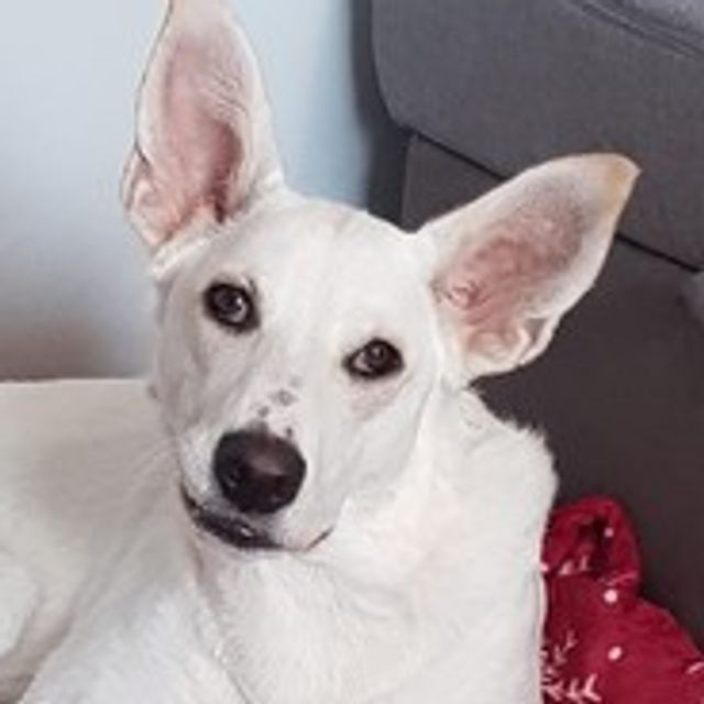 První testovací příspěvek