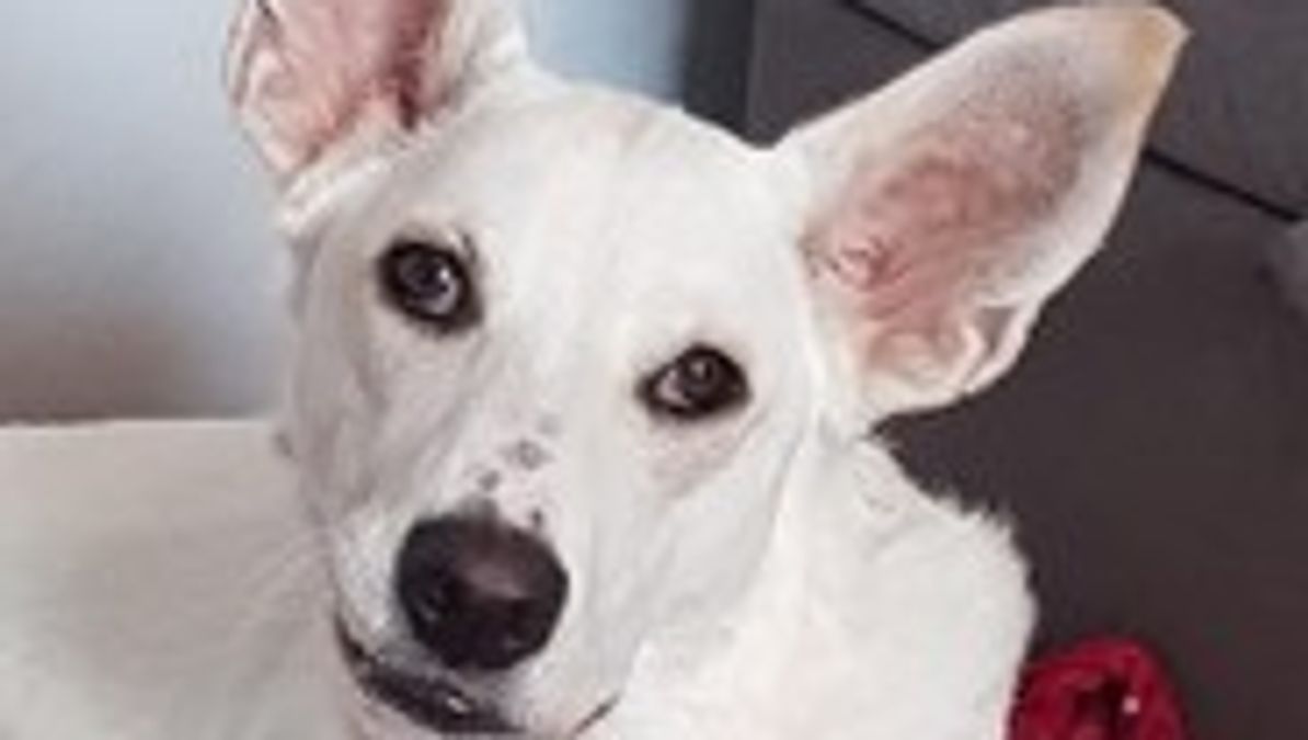 První testovací příspěvek