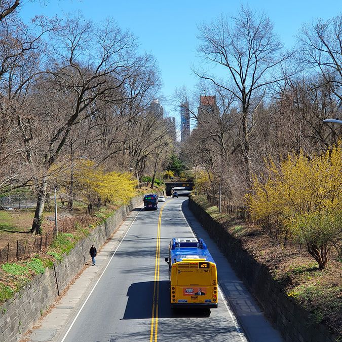Road inside Central Park