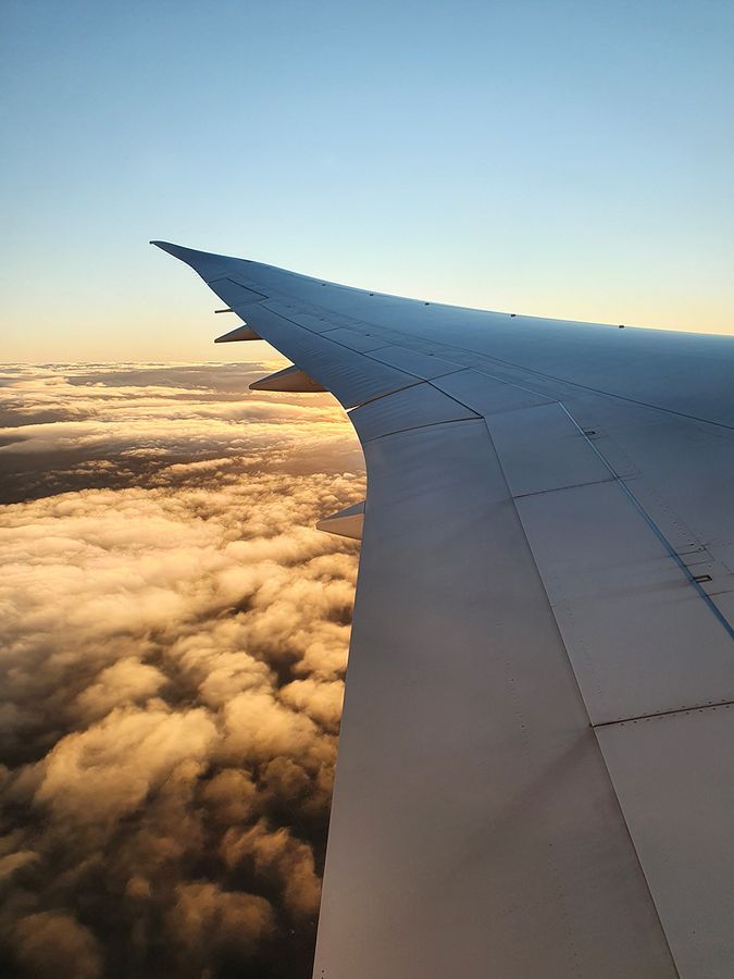 787 Dreamliner's wing