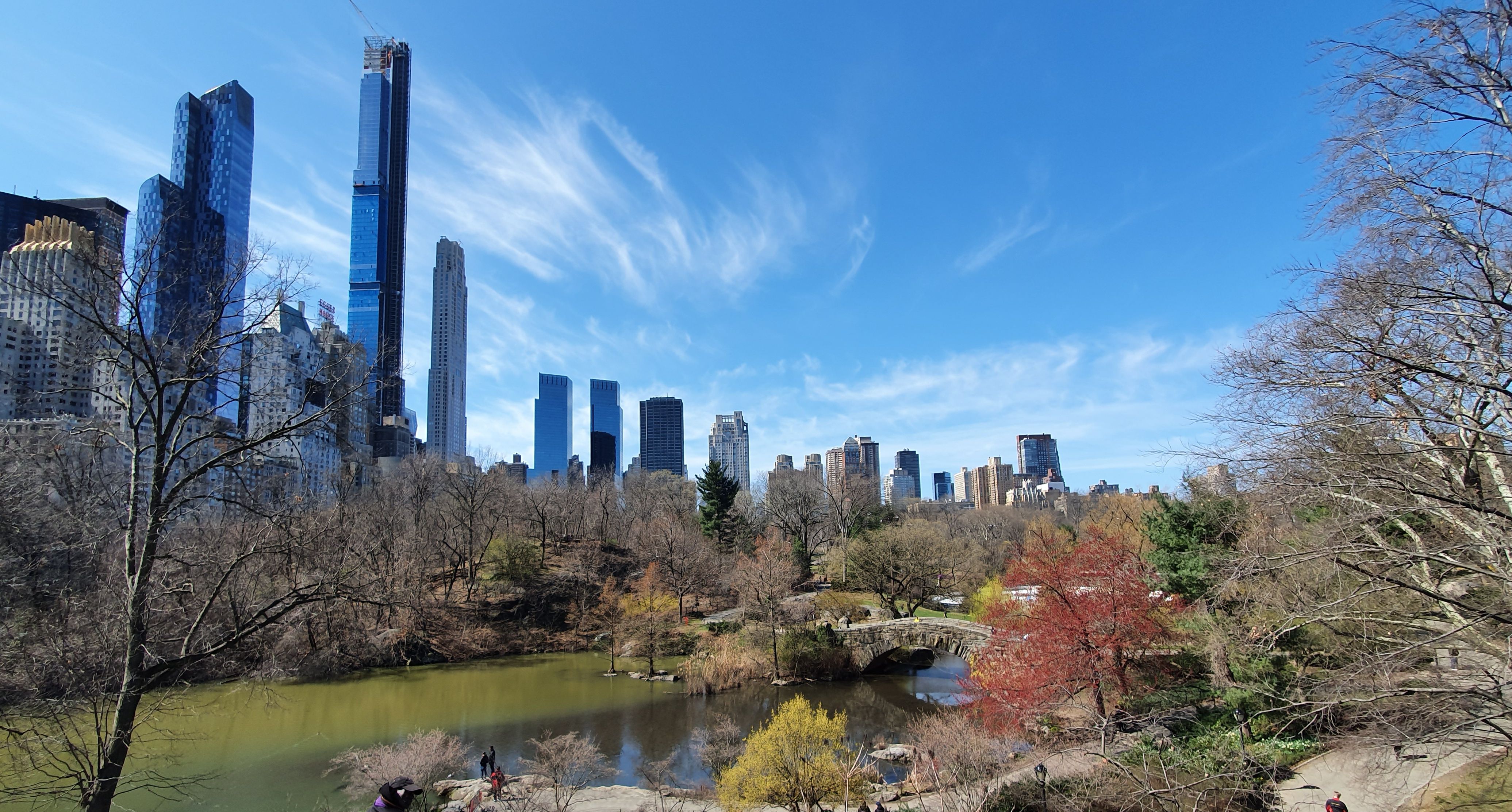Skyscrapers seen from Central Park