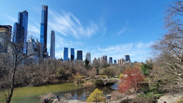 Skyscrapers seen from Central Park