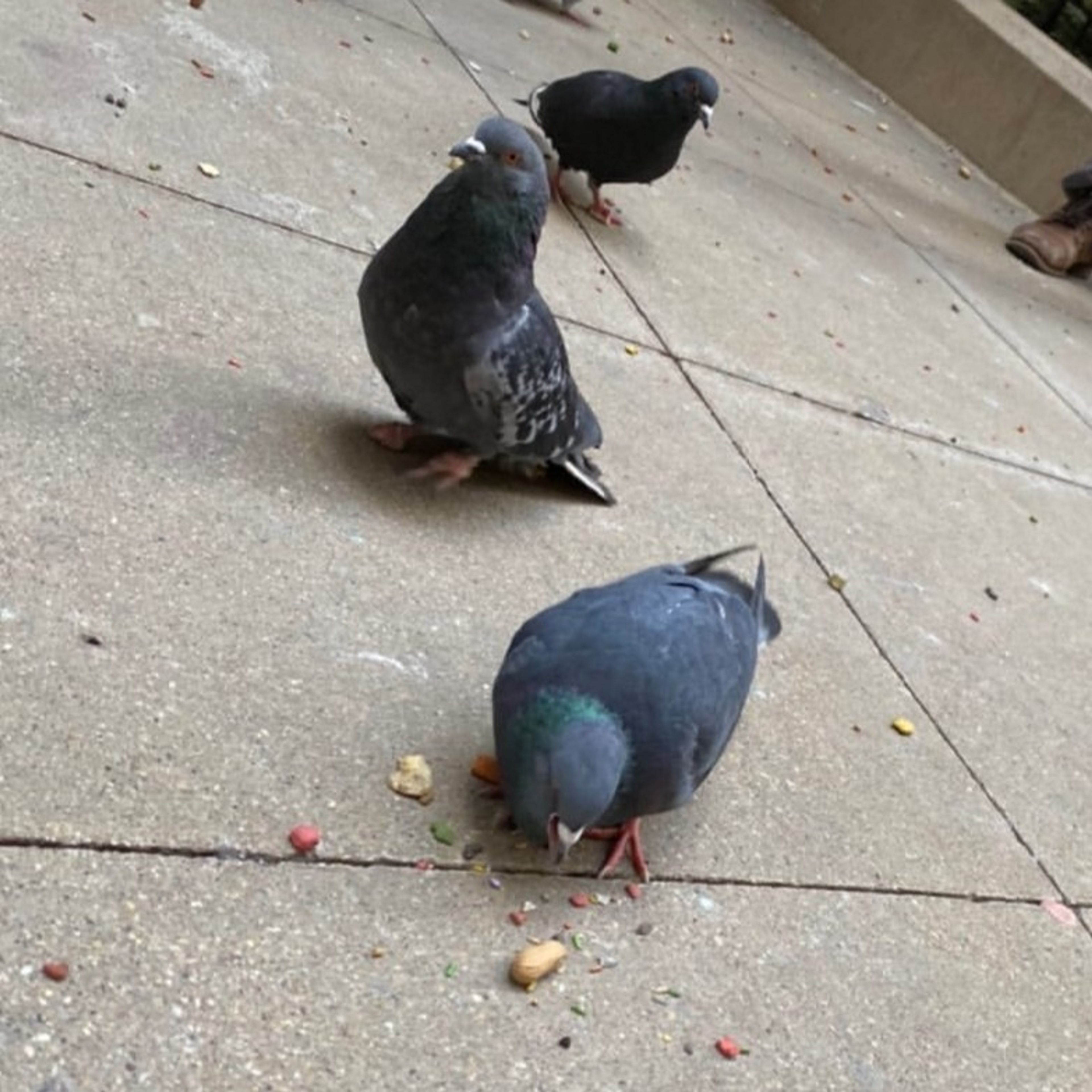 Foods needed! (3/7/2020)