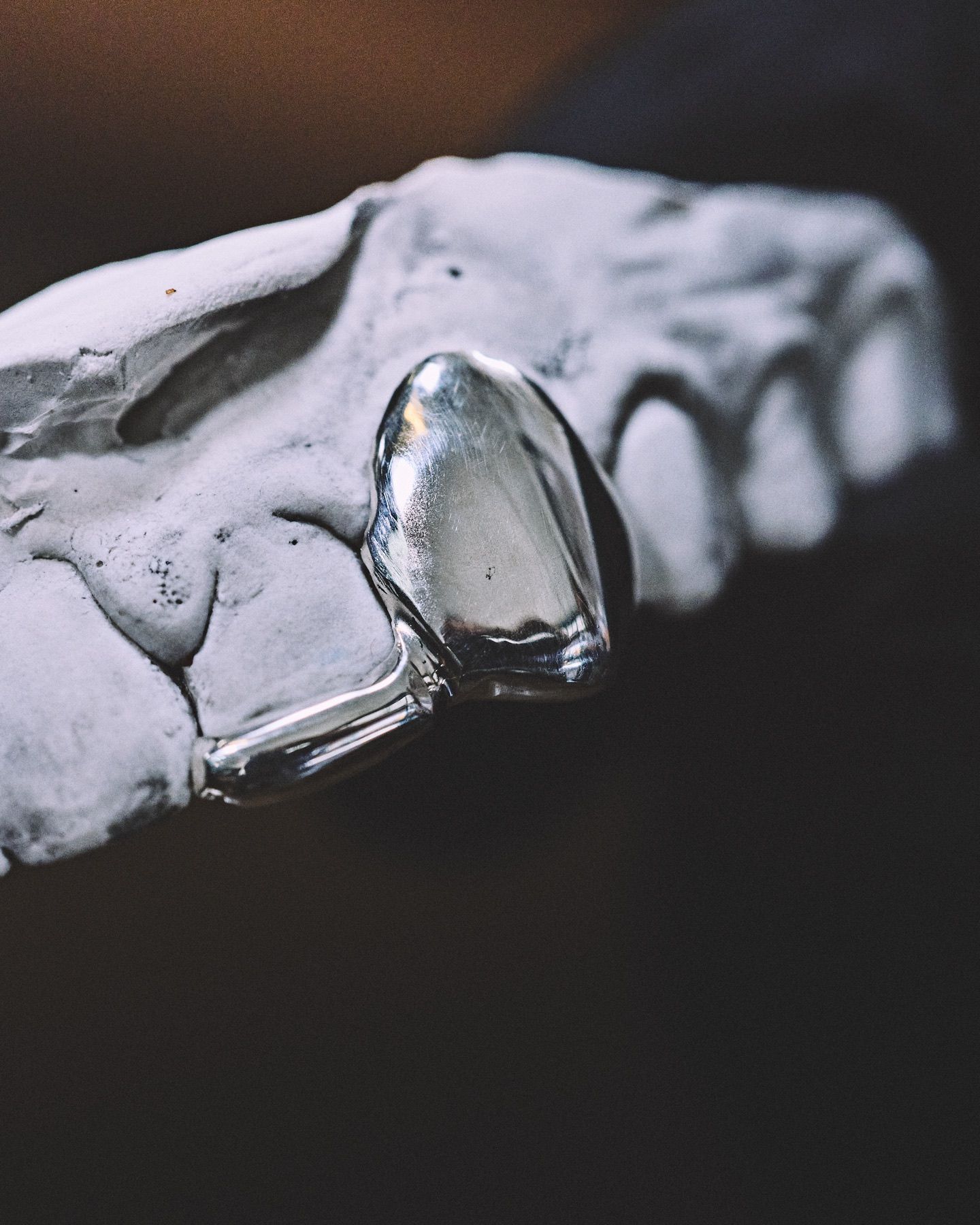 Macro d'une canine en argent poli
