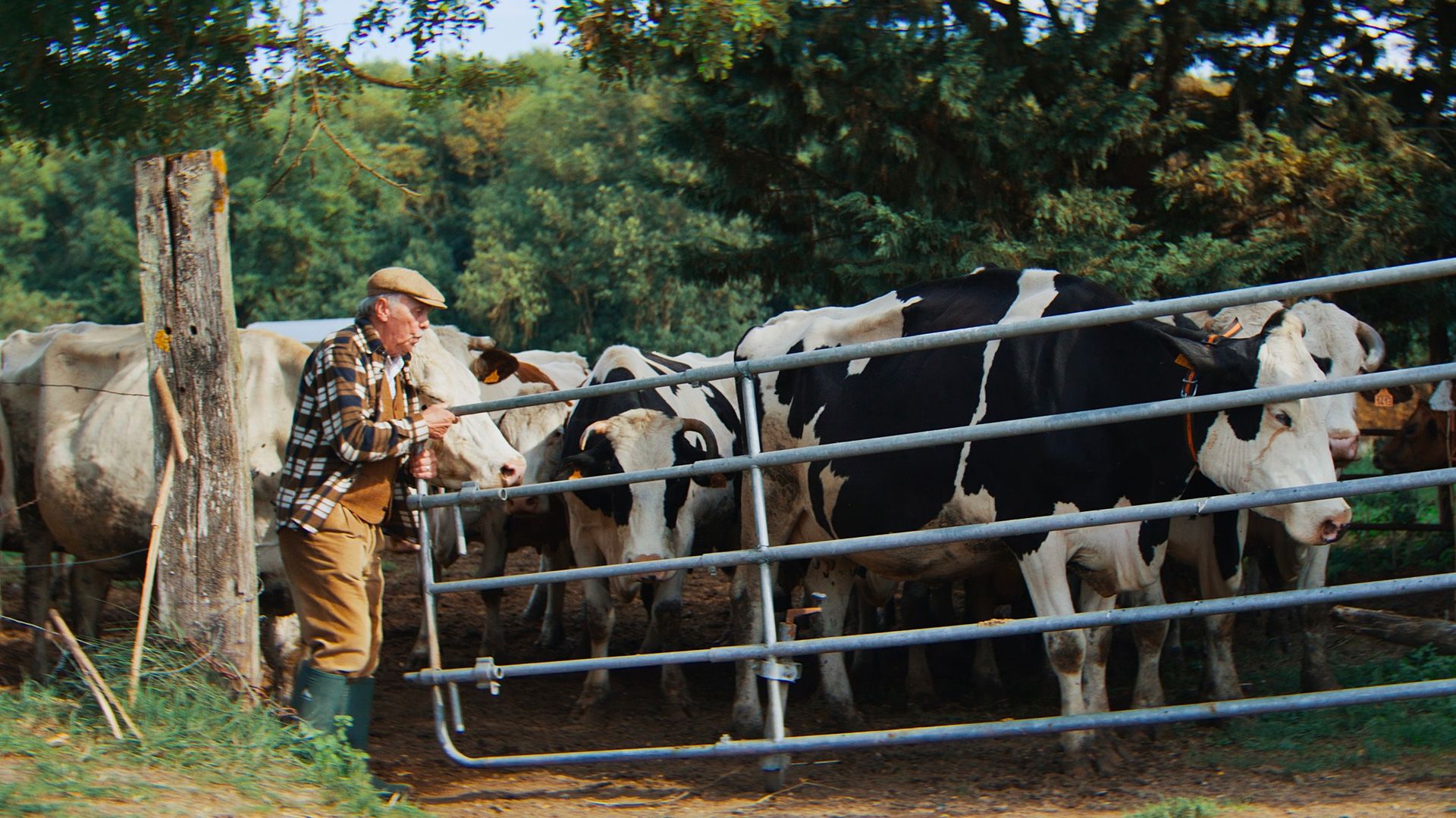 Scène prairie Essonne