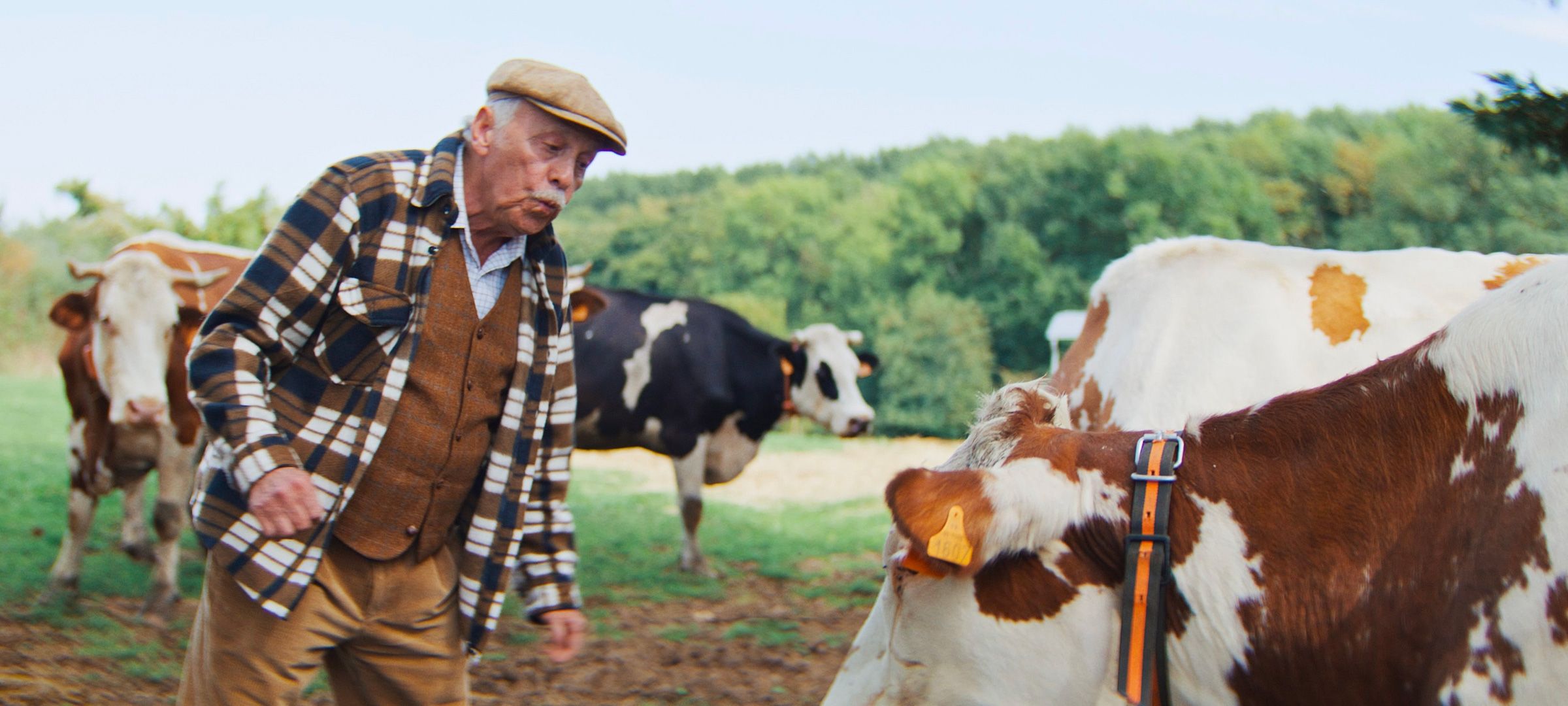 Papy prairie
