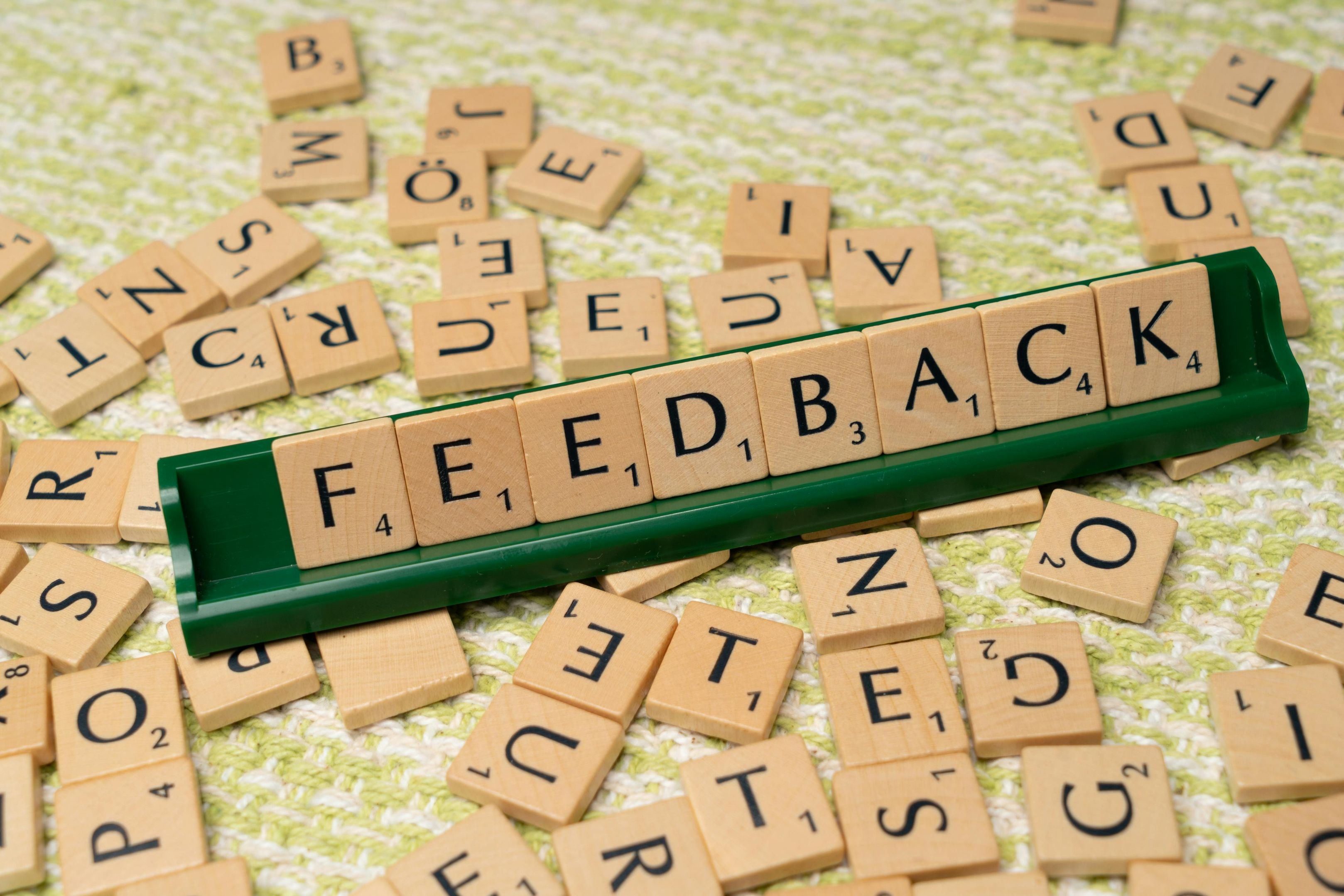Customer Success Surveys