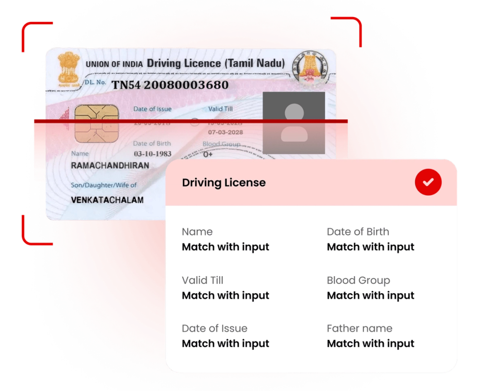Driving License illustration