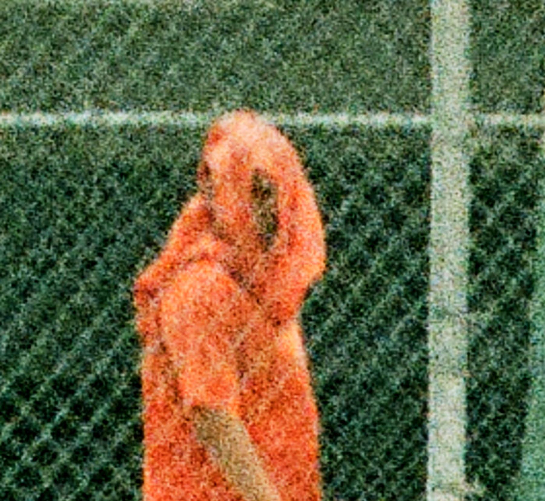 Detainees