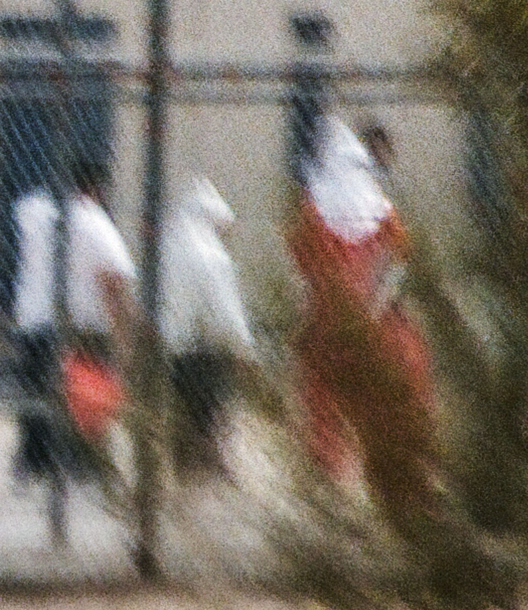 Detainees