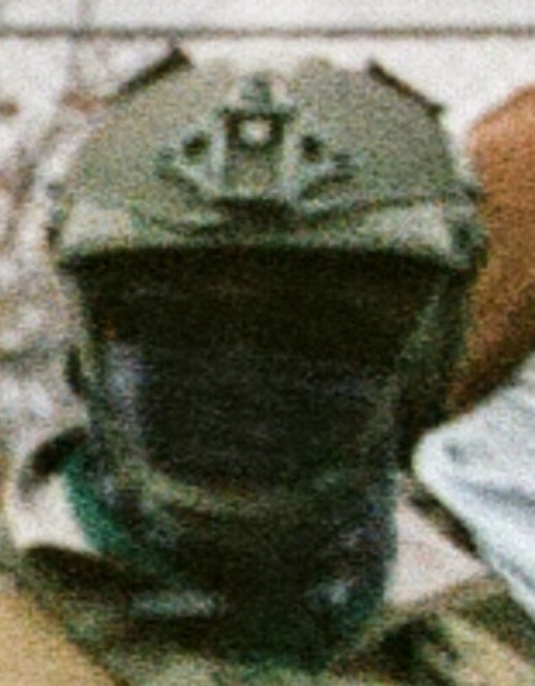 ICE Agent