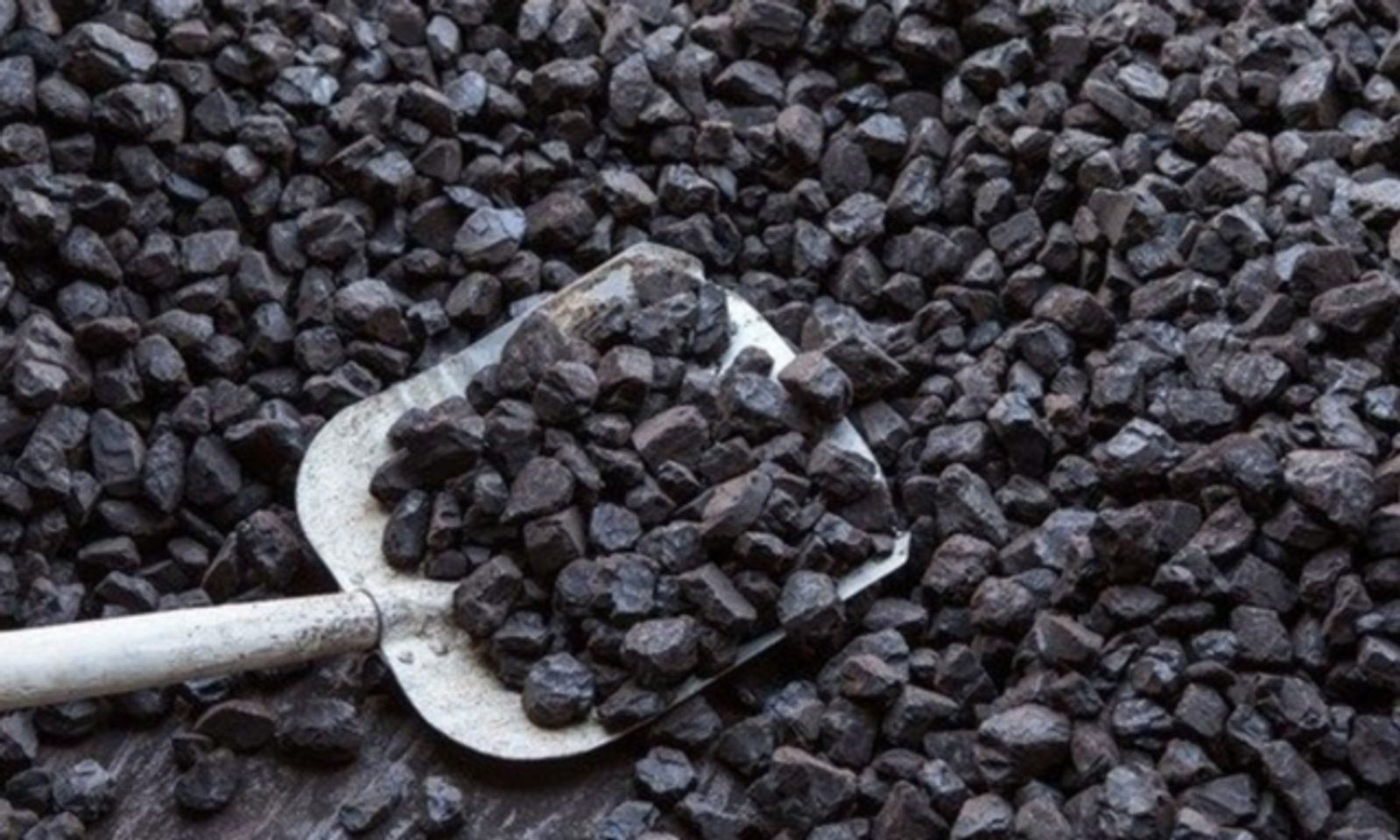 Бишкекте көмүр пункттары ачылды