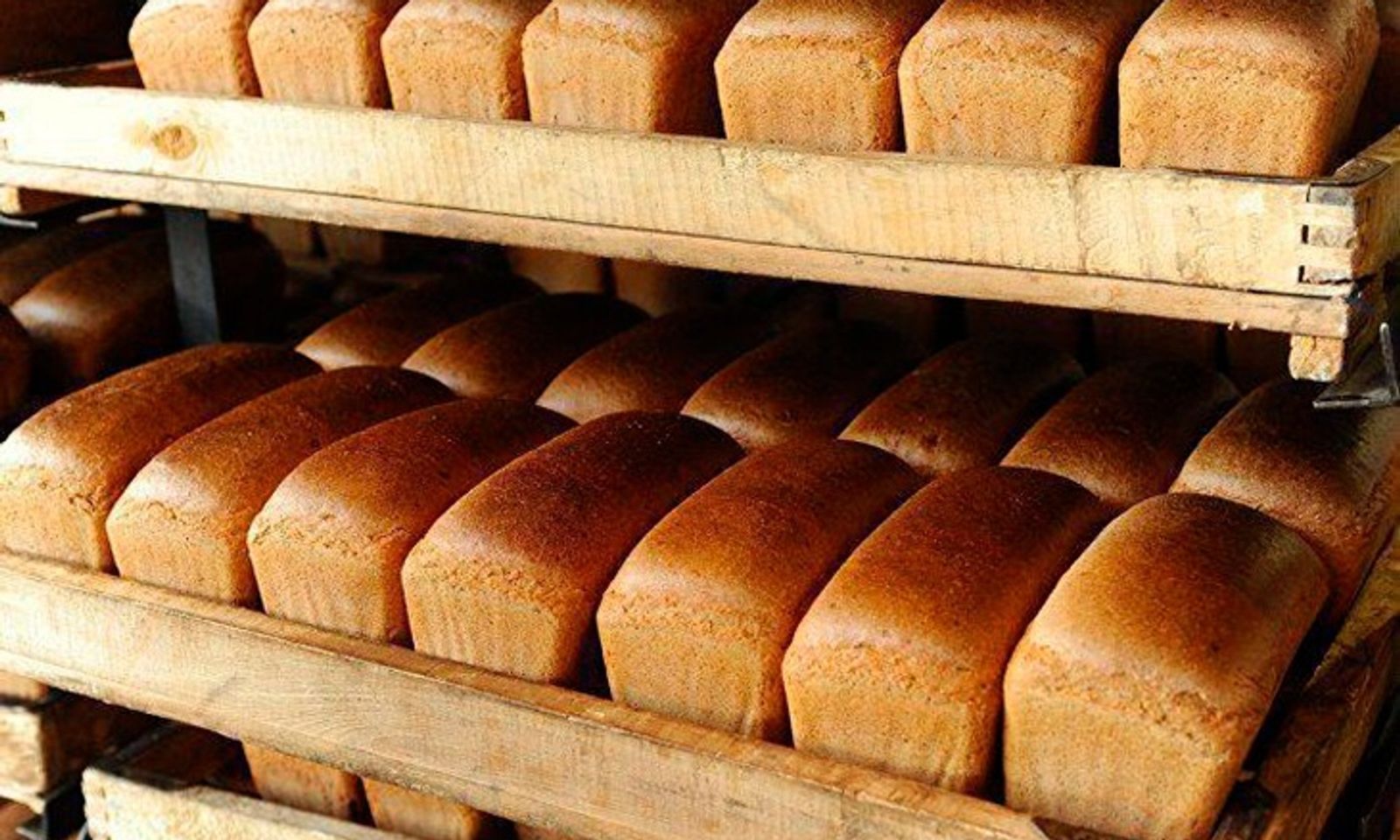 Өлкөдө нандын баасына убактылуу мамлекеттик көзөмөл киргизилди