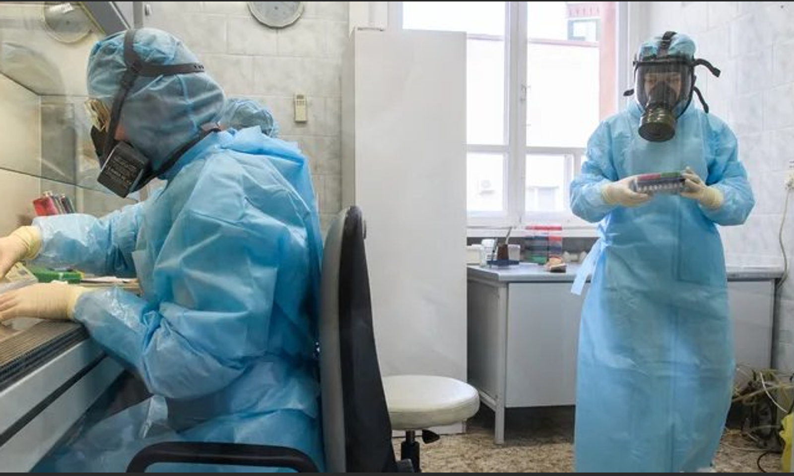 Монголиянын Орусия жана Кытай менен чектешкен аймактарында кара тумоо катталды