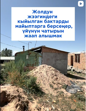 Жолду кеңейтүү учурунда кыйылган бак-дарактарды ушундай жардамга муктаж үй-бүлөлөргө берип койсо кандай жакшы болмок