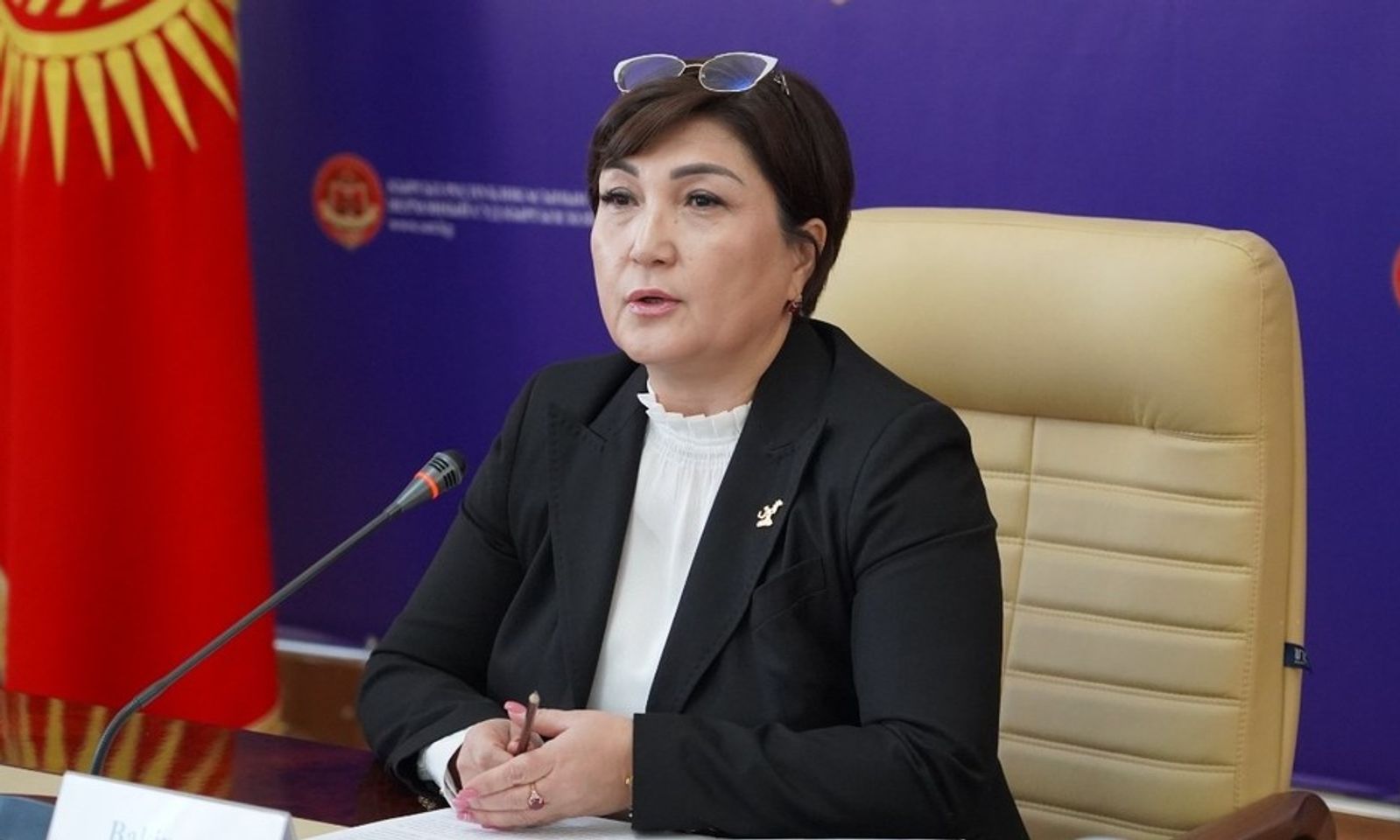 Судья Бакирова депутат Алтынбеков аны далилсиз жана «жеке кызыкчылыгы үчүн» айыптап жатканын айтты