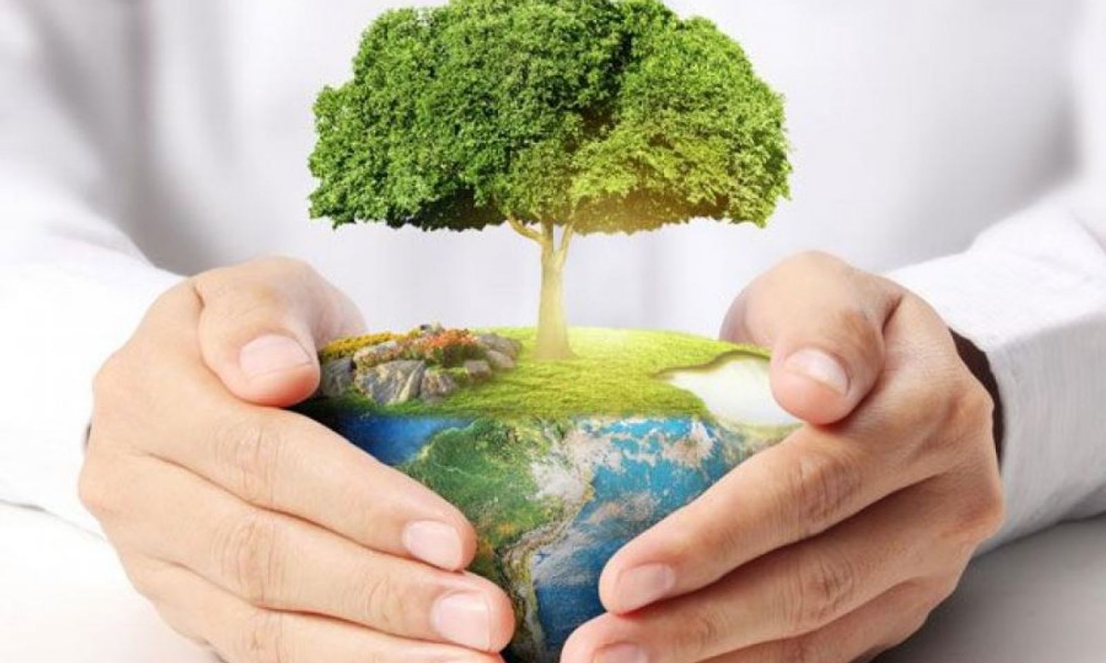 Өзбекстанда экологиялык багыттагы жаңы социалдык долбоор башталды