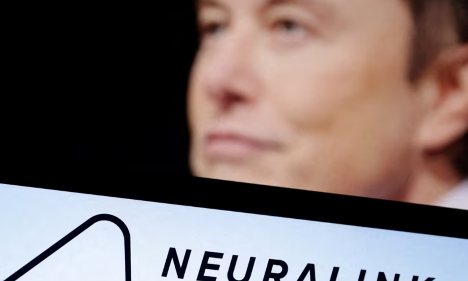 Илон Маск кишилерде Neuralink нейрочибин сынай баштайт