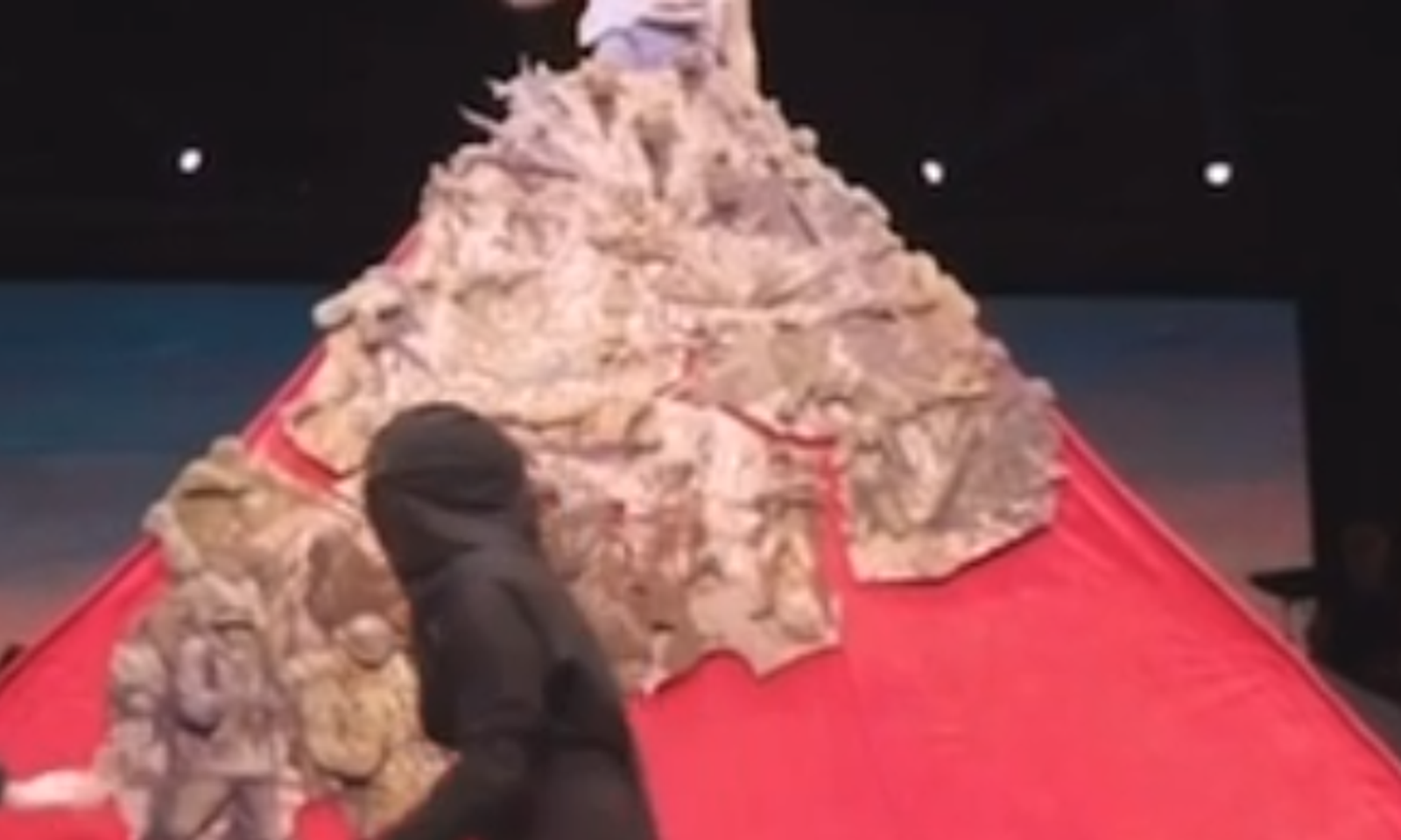 4,5 метр. Түркиялык ырчы көйнөгү менен элди таң калтырды