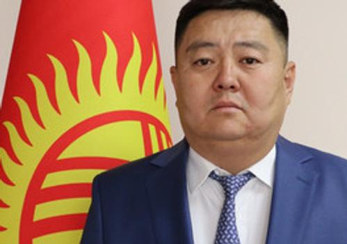 Айыл чарба министринин орун басары Алмаз Сокеев кызматынан бошотулду