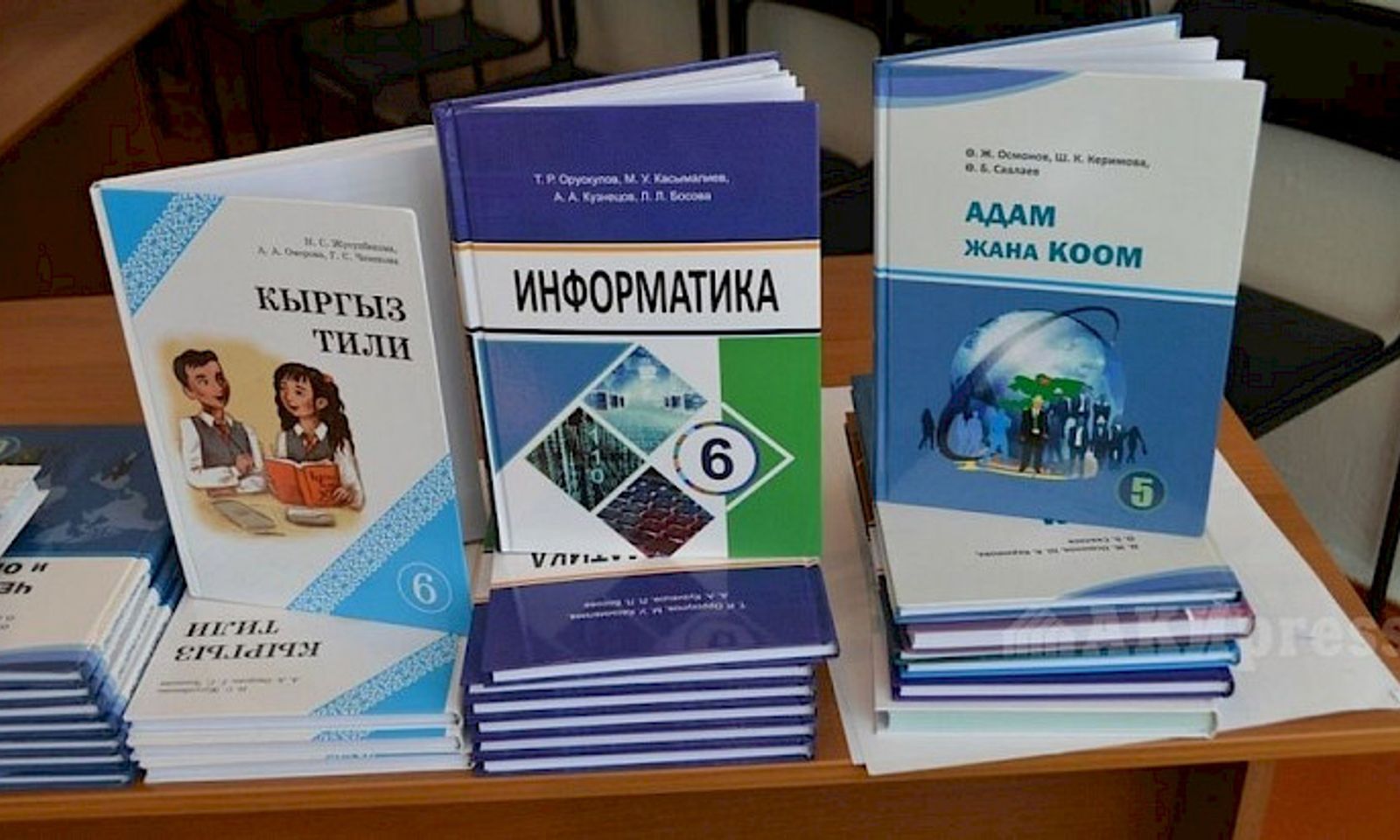 Балаңызга китептер жетиштүү болдубу? Министирлик он эсеге көп китеп басылып чыккандыгын билдирди