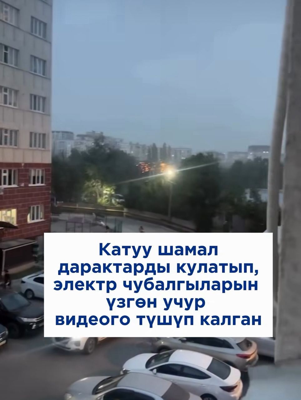 Катуу шамал 