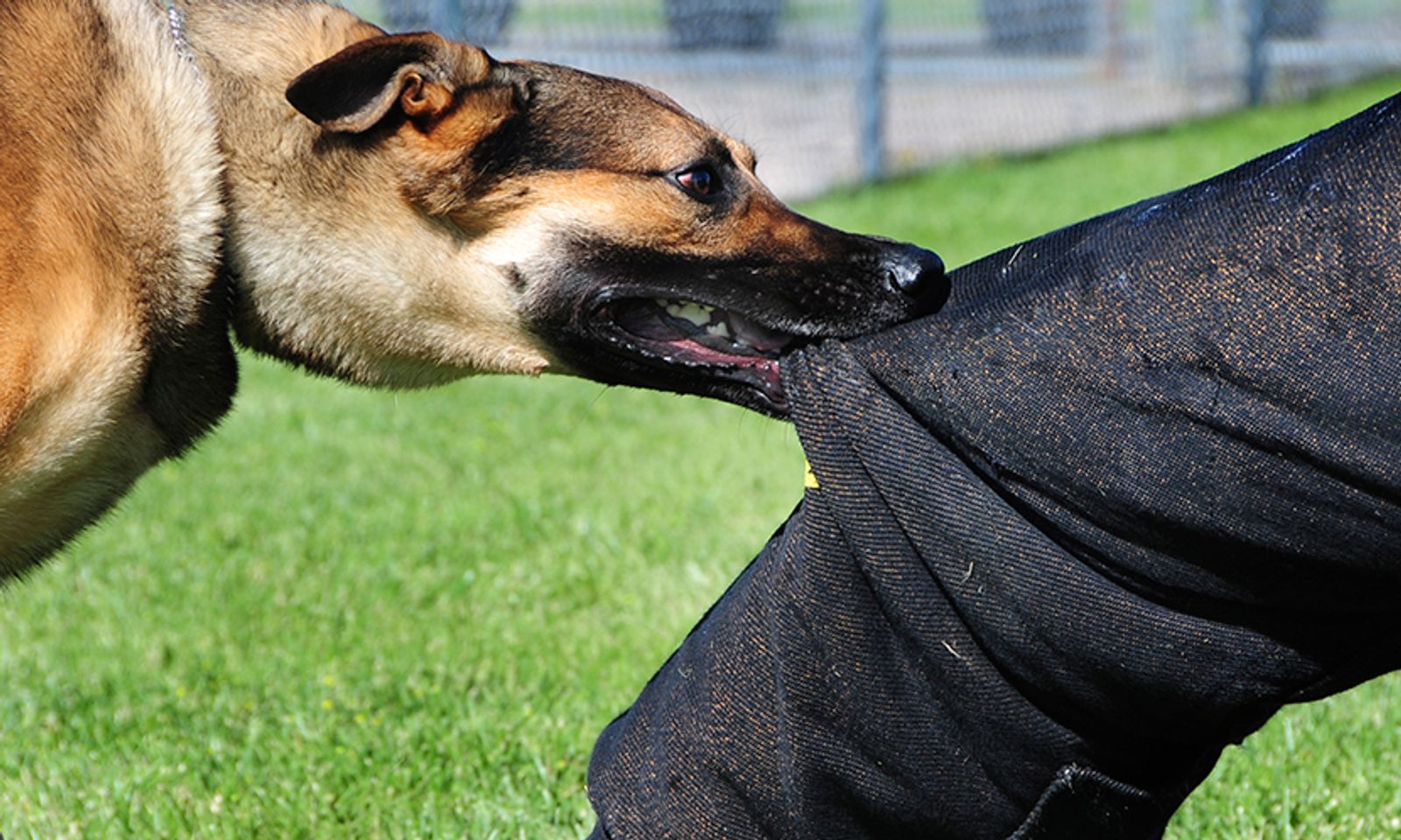 Ошто кутурма оорусунан бир адам каза болду