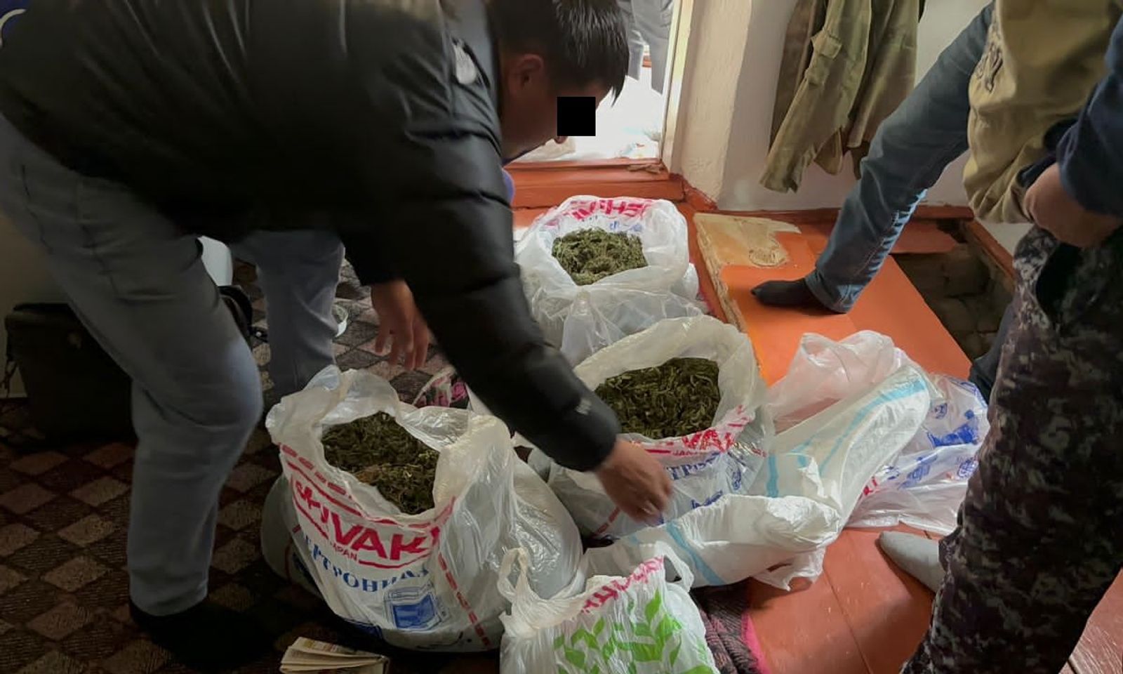 КР УКМК: 5 килограмм 190 грамм “марихуана” аныкталып, алынды