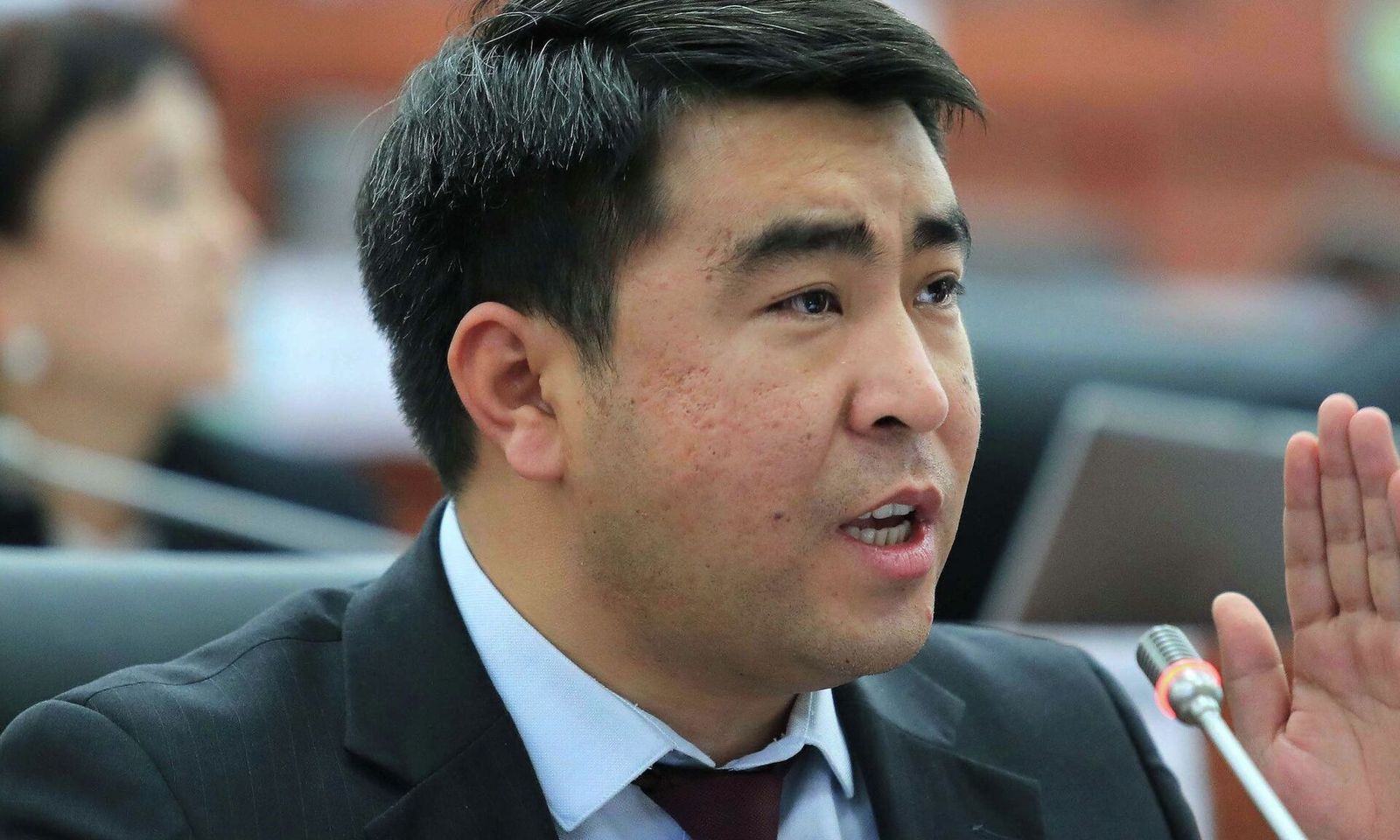 Жанар Акаев: Зордуктоого айыпталып, түрмөгө кесилгендерге пробациялык көзөмөл жайылтылбашы керек