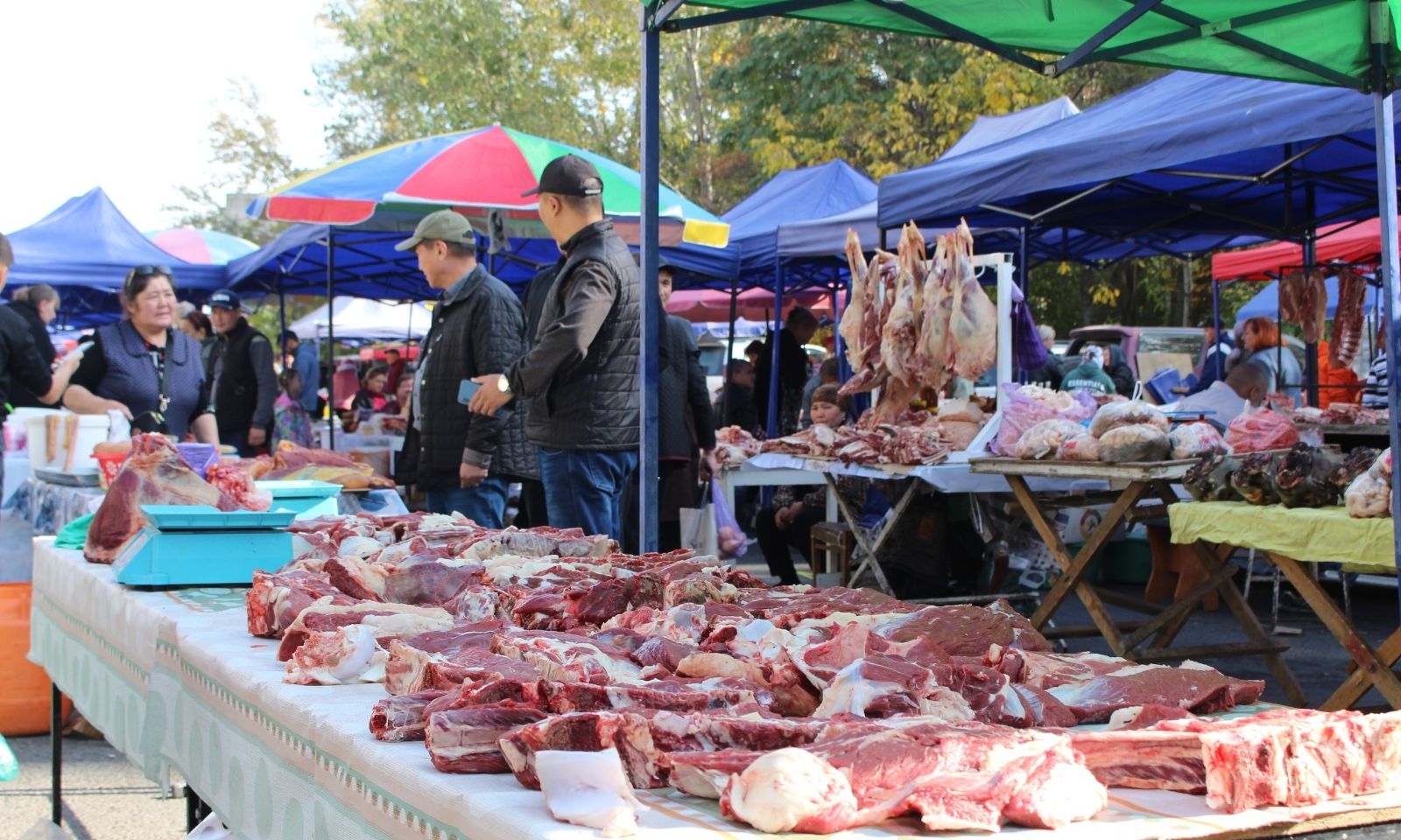 31-декабрга чейин уланат. Эртең Бишкекте айыл чарба жарманкеси башталат