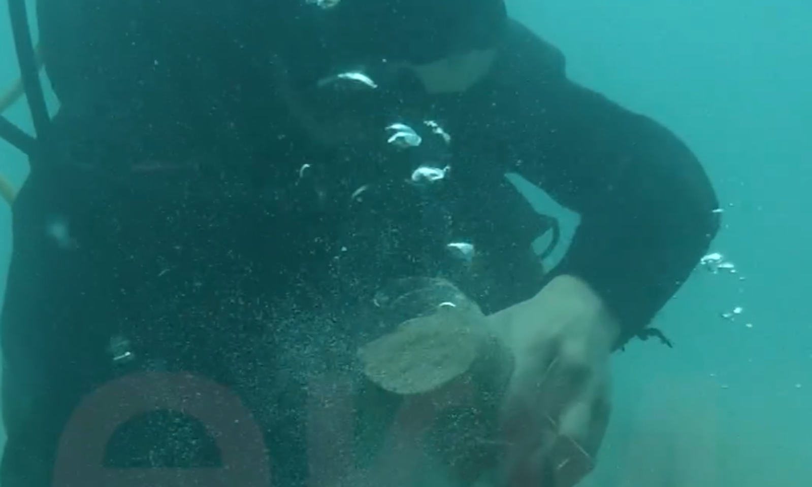 Таза кармайлы! Ысык-Көлдөн 10 тонна 405 килограмм таштанды чыгарылды