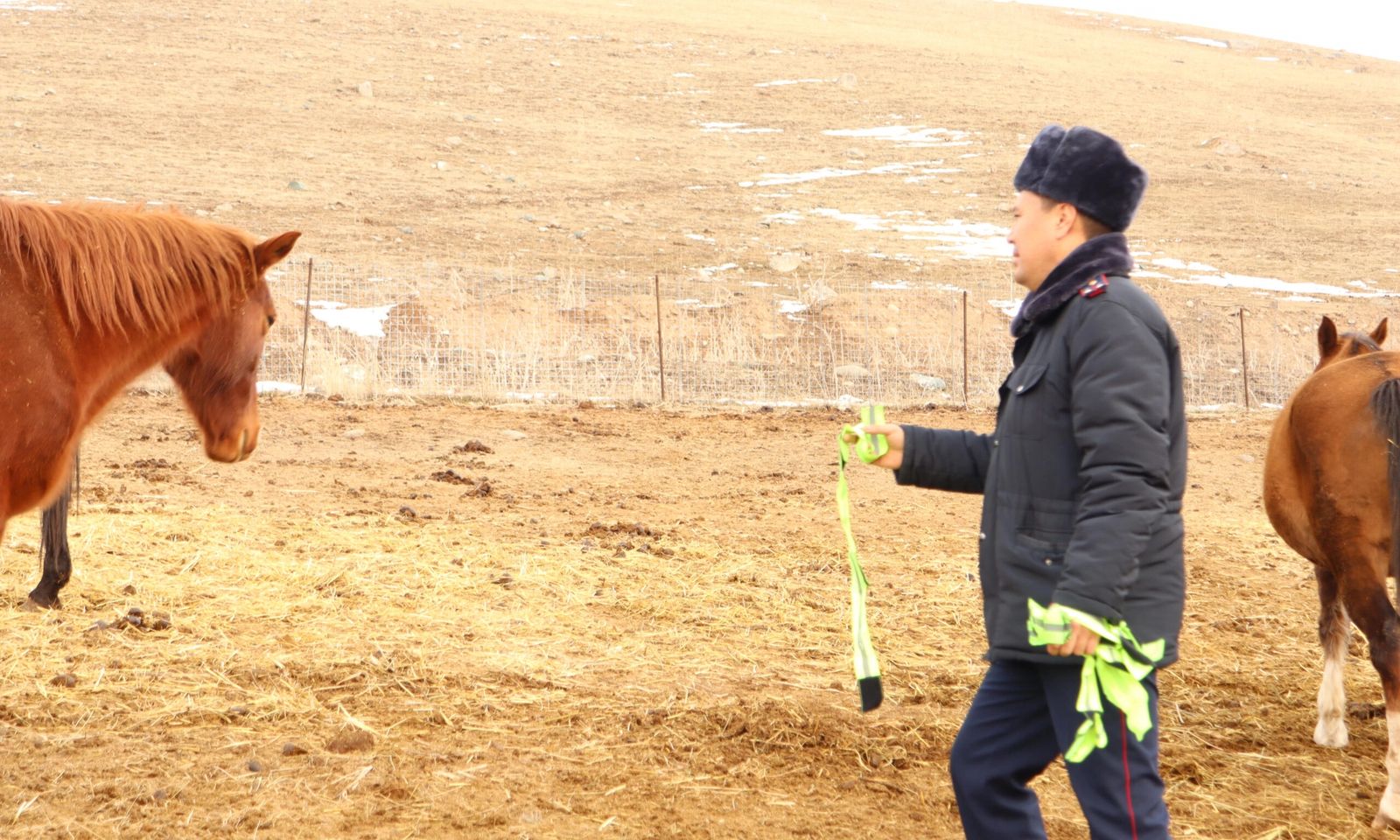 ЖКККББгы мал ээлерине кайрылып,мал жандыктарды кароосуз калтырбоого чакырды