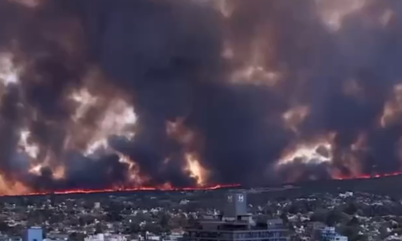 Кофе жасайм деп. Аргентинада токойдогу өрттү өчүрүү мүмкүн эмес болууда