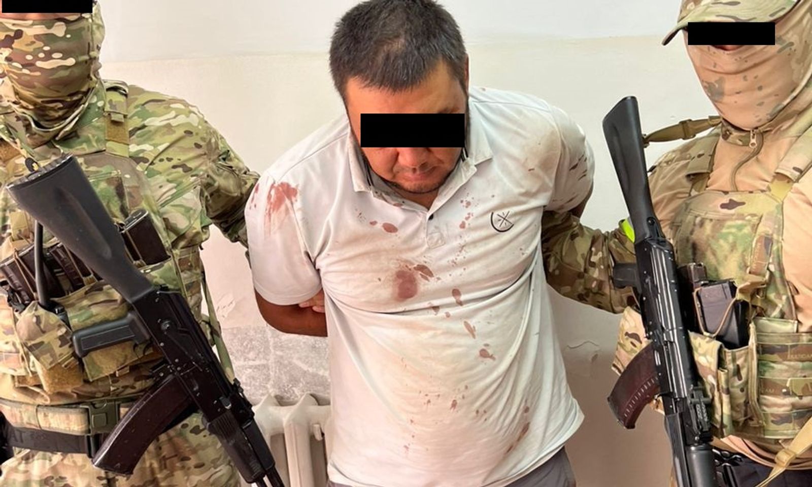 «Мокинтош» каймана аты менен белгилүү болгон Бостеринин «смотрящийи» аталган жаран кармалды