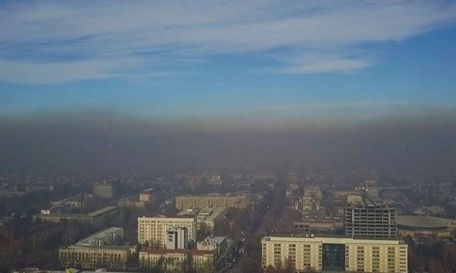 Ышты жоюу үчүн өлкөгө католизатору жок унааларды киргизбөө сунушталды