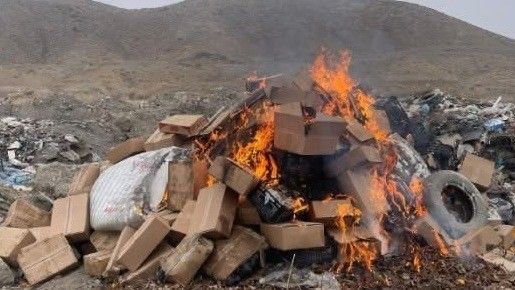 Баткенде документтери жок ташылып келе жаткан тонналаган жүзүм жана лимондор өрттөлдү