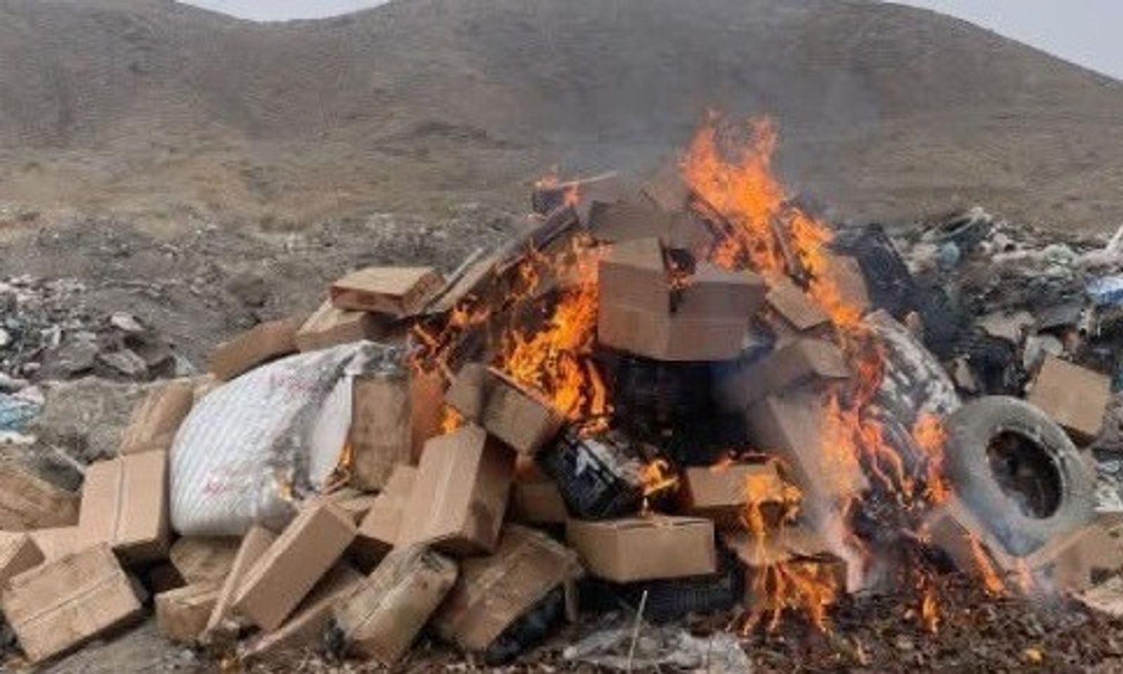 Баткенде документтери жок ташылып келе жаткан тонналаган жүзүм жана лимондор өрттөлдү