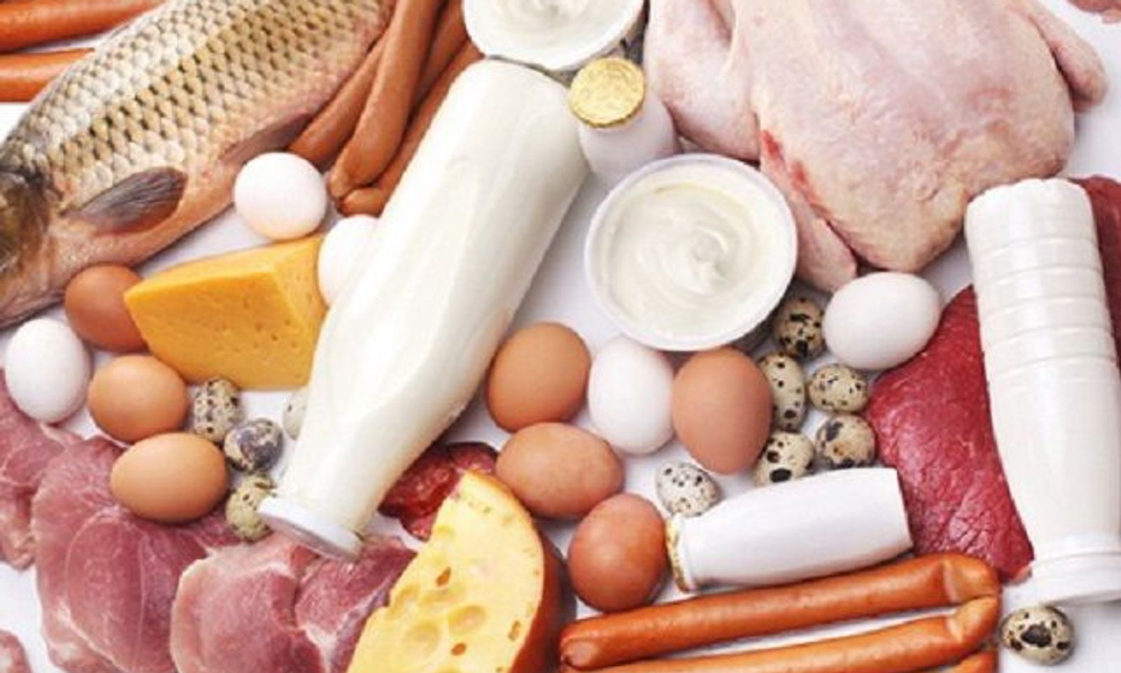 Орусия Кыргызстандын балык жана сүт азыктары боюнча чектөөсүн алды