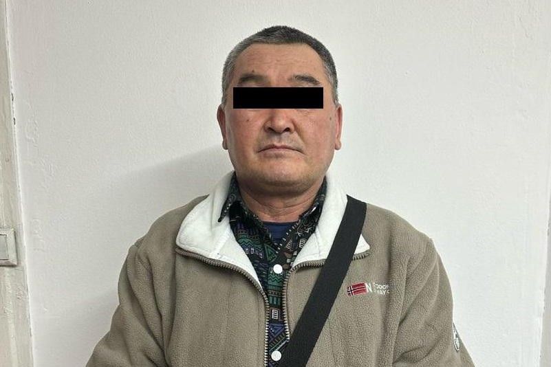 Москва шаарына учуп кетүүгө аракет кылган жаран кармалды