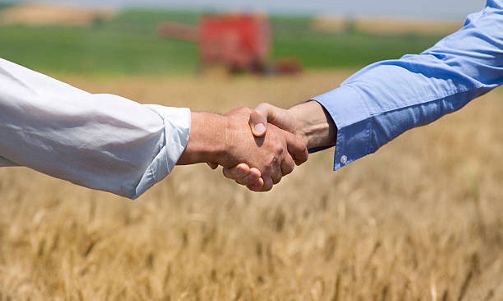 КЫРГЫЗСТАНДА ЗАМАНБАП АГРОБИЗНЕСМЕНИ БОЛУУНУН ЖОЛУ ЖАНА ШАРТТАРЫ