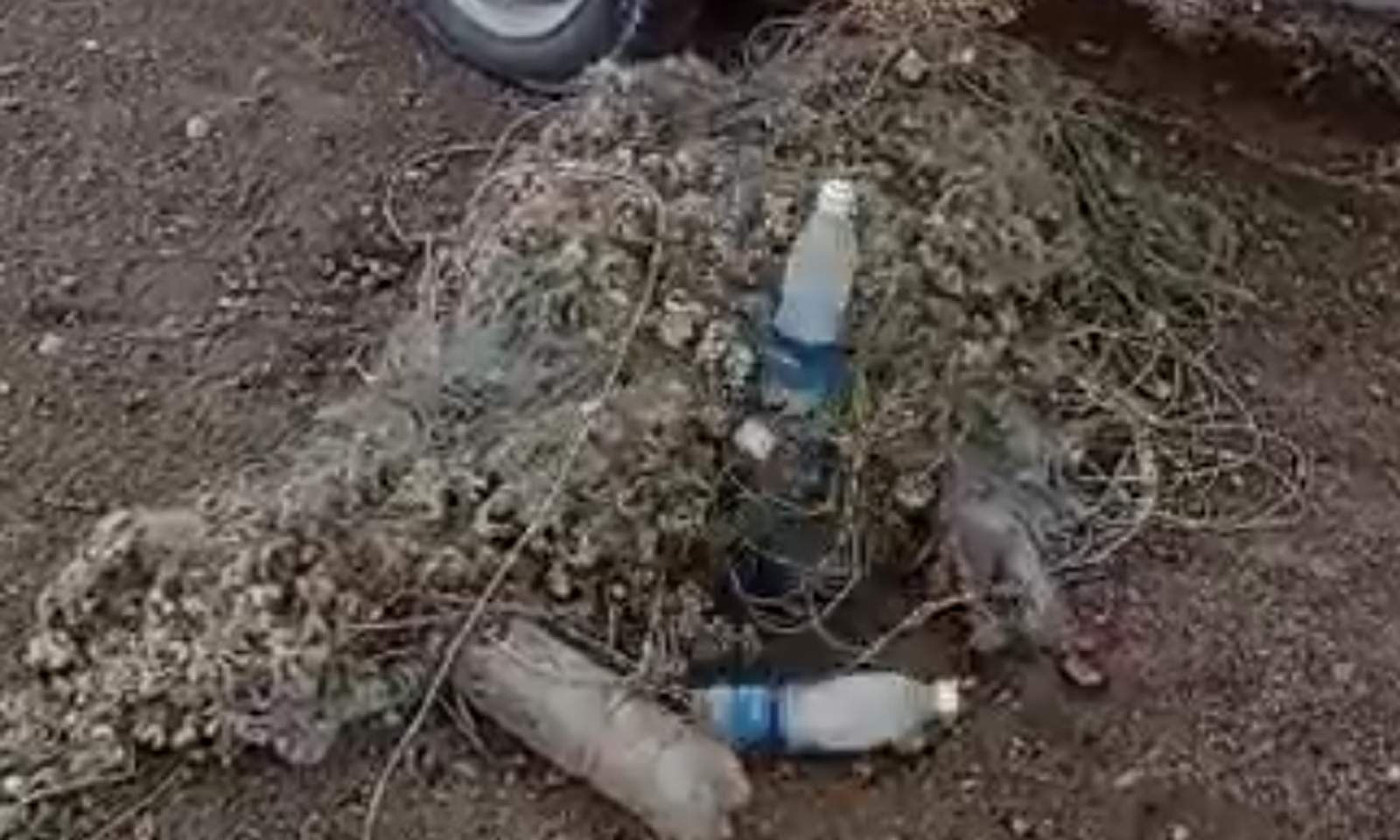 Ысык-Көлдөн 17 миң тоннага жакын таштанды чыгарылды