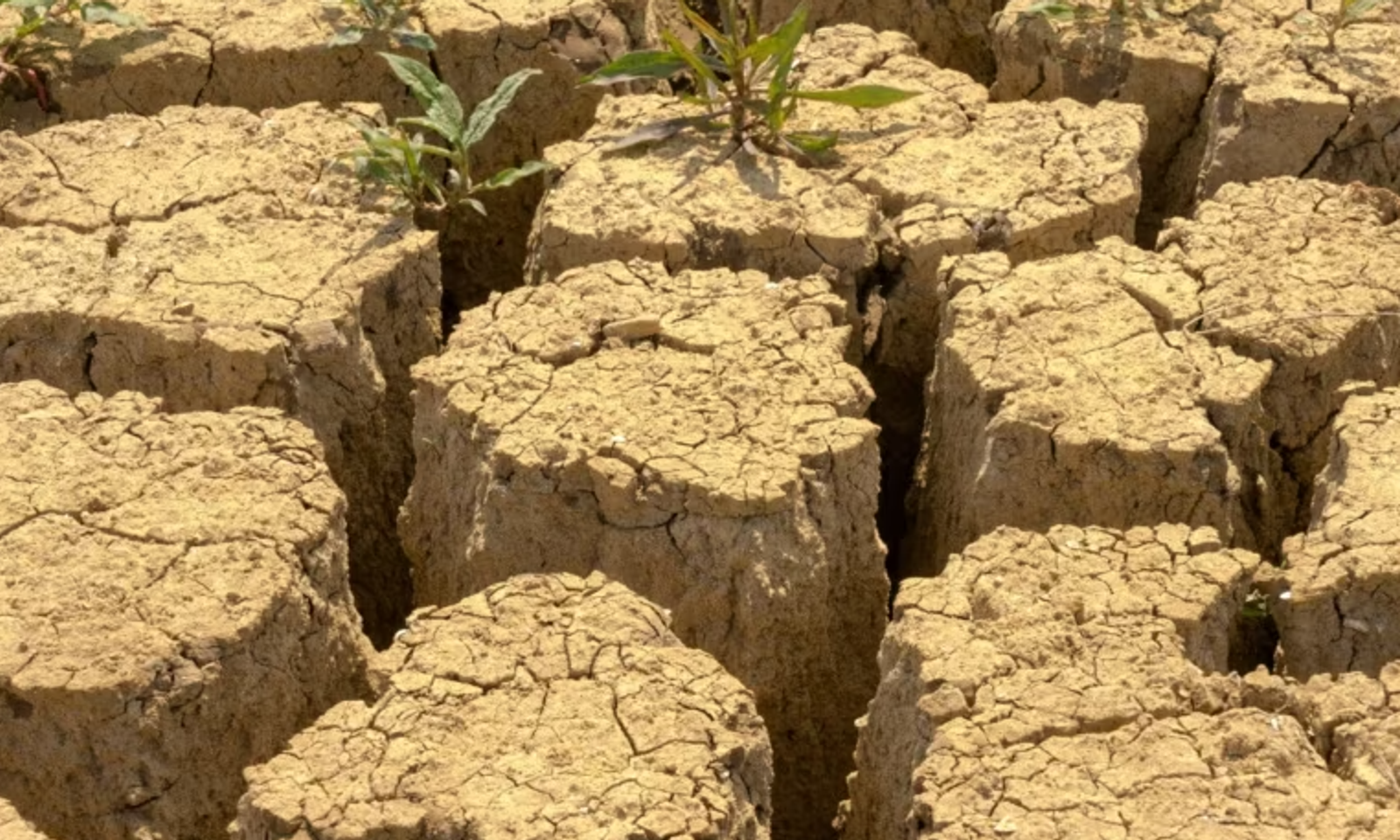 Өзбекстан сууну үнөмдөө боюнча өзгөчө режимге өтөт