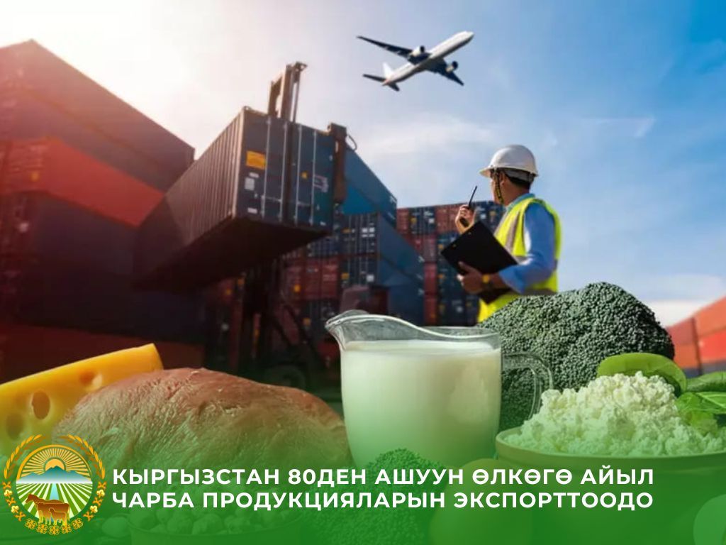 Кыргызстандын айыл чарба продукциясынын экспорту өсүүдө