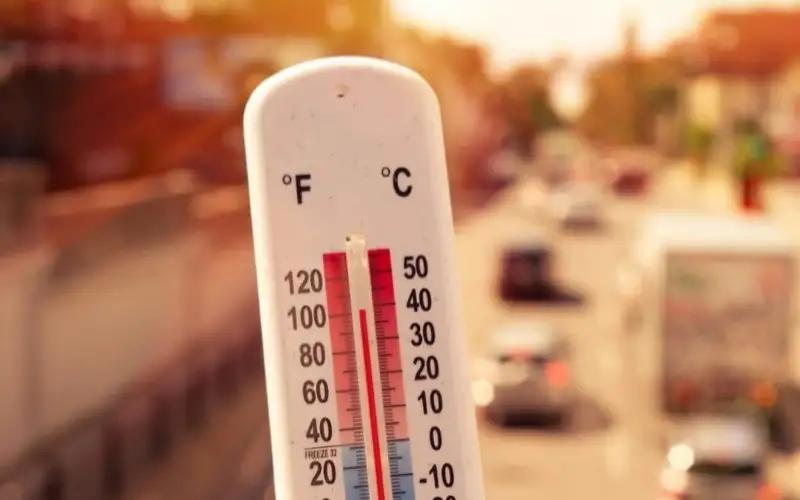 Өлкөдө июль айында температура 40 градуска чейин жетет