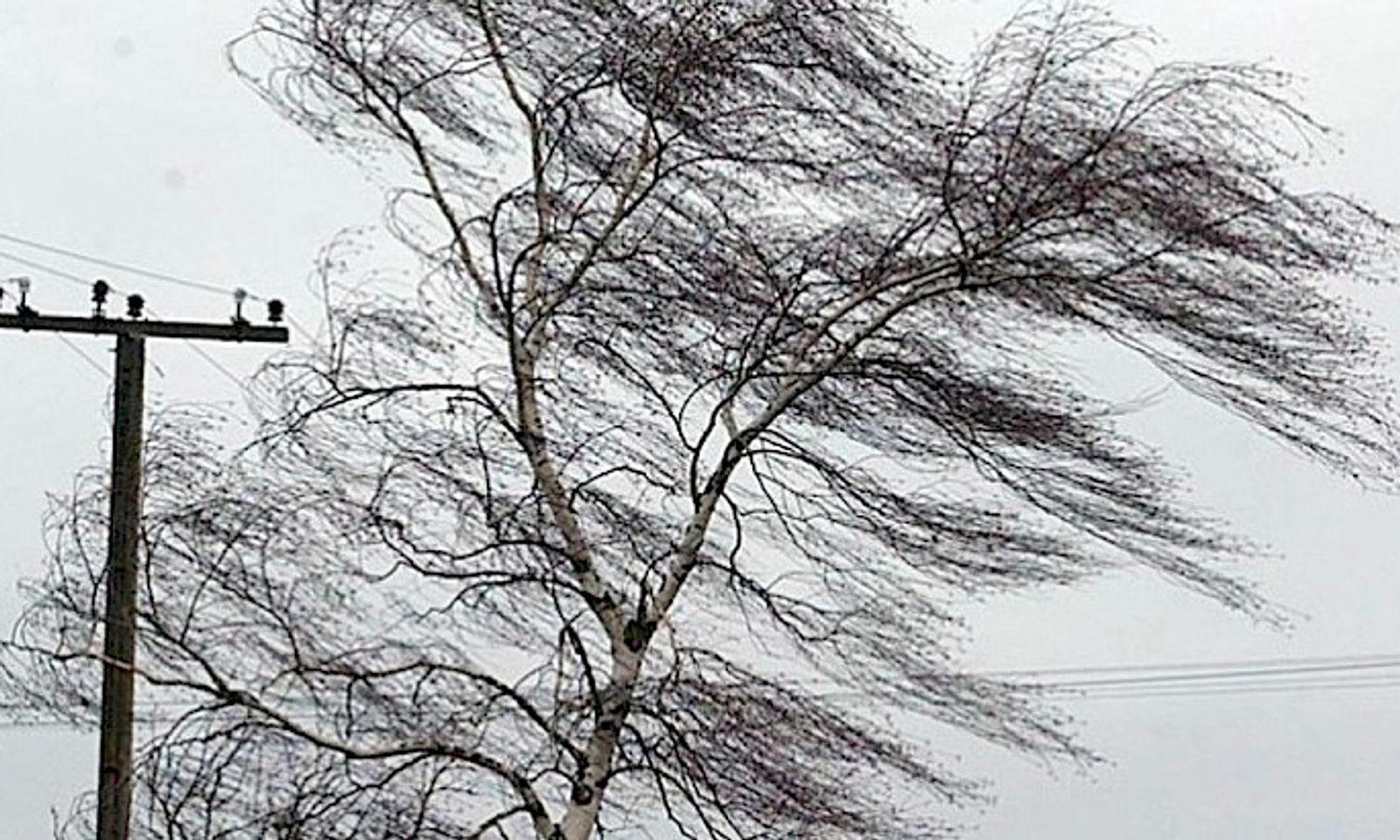 Шашылыш билдирүү! Чүй өрөөнүндө катуу шамал болот