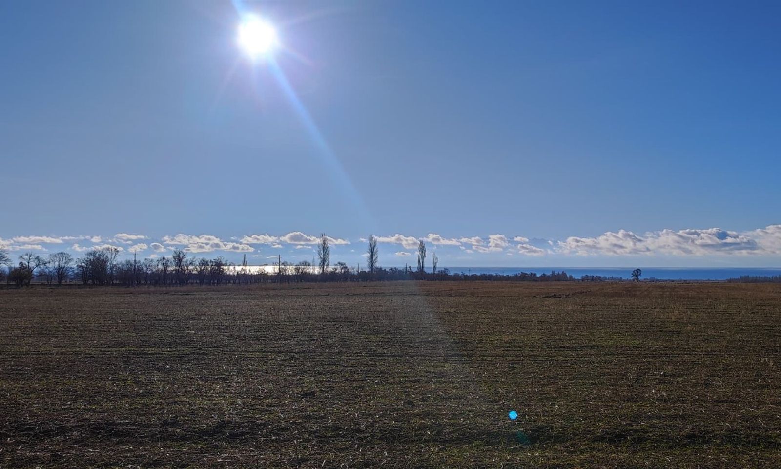 Көлбаевке тиешелүү 115 гектар жер мамлекетке кайтарылды