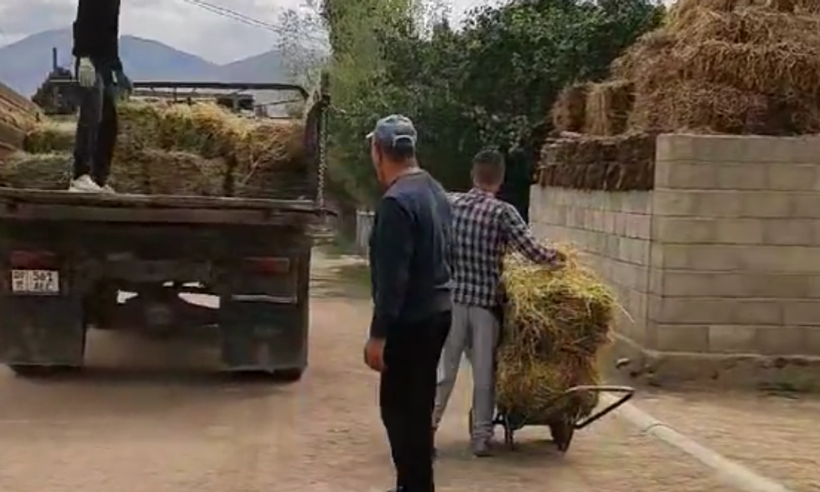 Тоңдо чөбү өрттөнгөн жаранга айылдаштары чөп жыйнап беришти