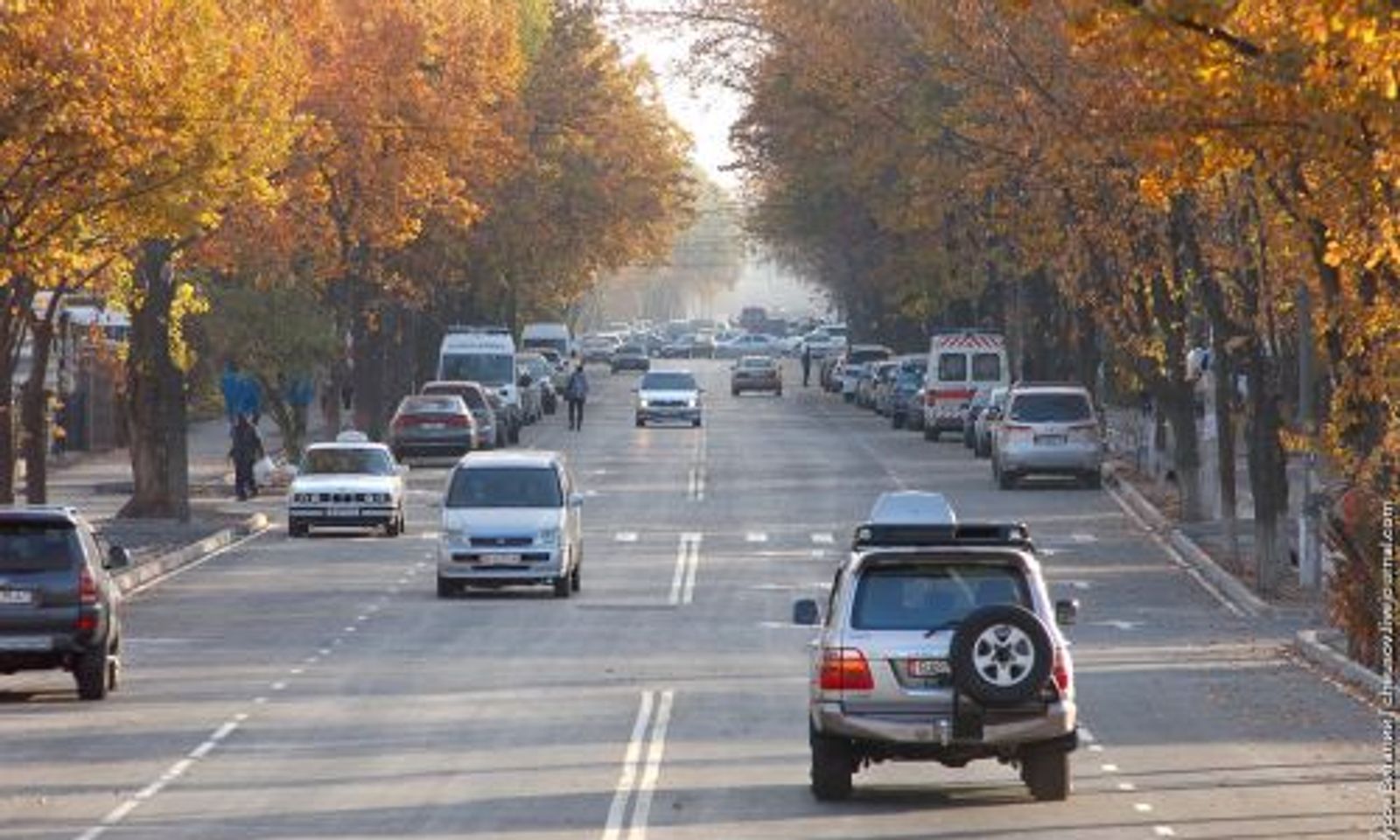 Sokol.media жалган маалымат таратууга катышпайт