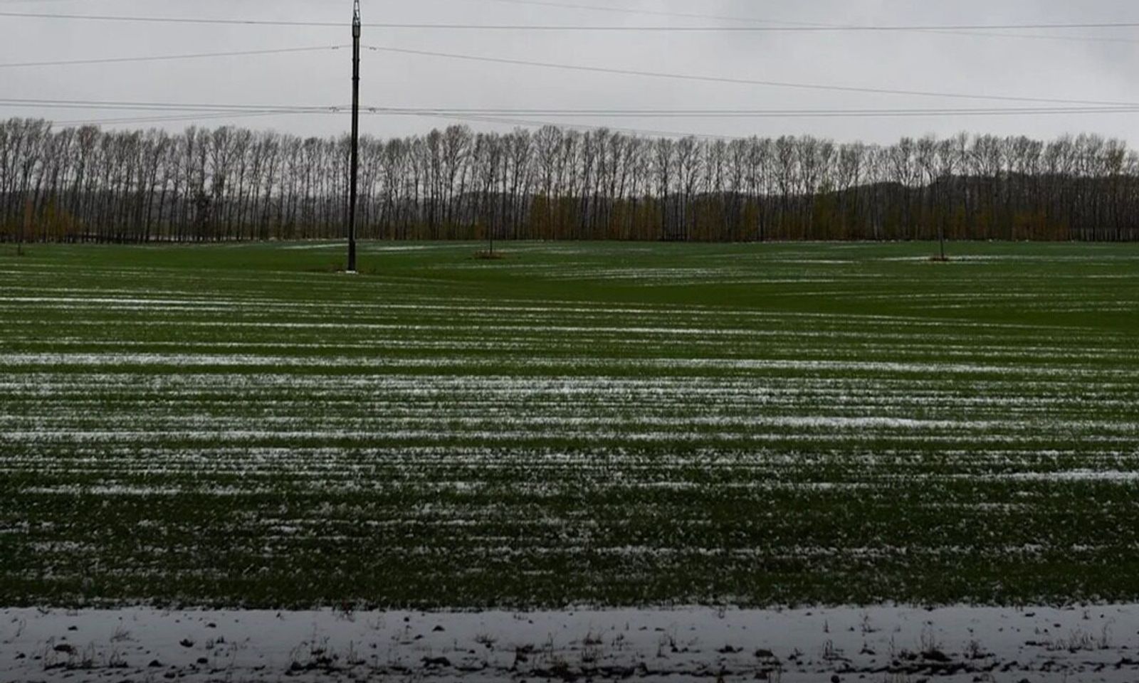 Кыргыз Республикасынын Президенти Садыр Жапаров “Сугат айдоо жерлерин жарактуу жерлердин башка категорияларына жана түрлөрүнө которууга (трансформациялоого) мораторий киргизүү жөнүндө” Кыргыз Республикасынын Мыйзамына өзгөртүүлөрдү киргизүү тууралуу” Кыргыз Республикасынын Мыйзамына кол койду